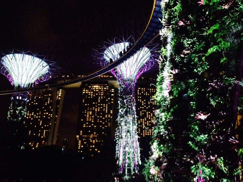 シンガポール Singapore